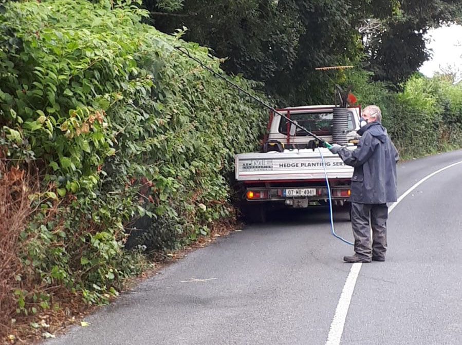 Japanese Knotweed Eradication